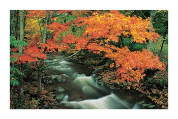 looooooooooooooooooooool